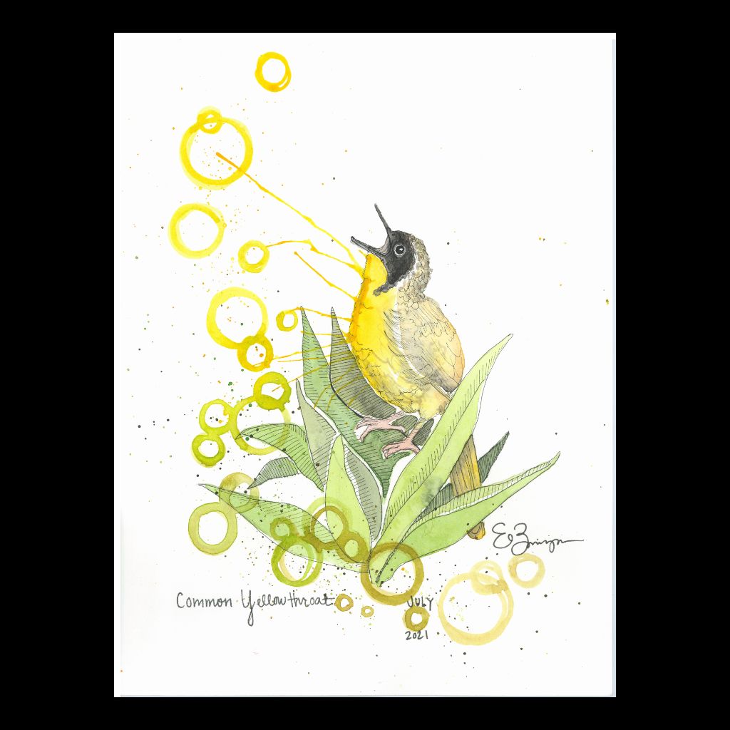 Common Yellowthroat - Fine Art Greeting Card