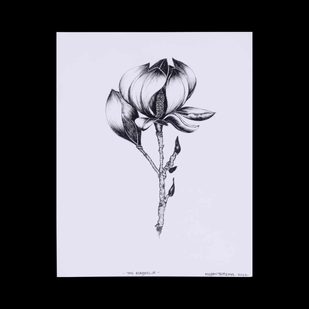 The Magnolia - Botanical Print