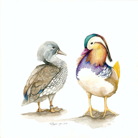 Fine Art Greeting Card of Pair of Mandarin Ducks