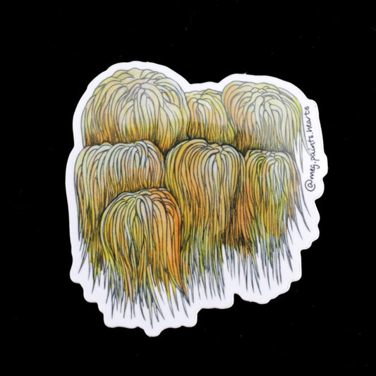 Lion's Mane Sticker