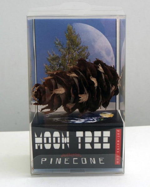 Moon Tree Pinecone