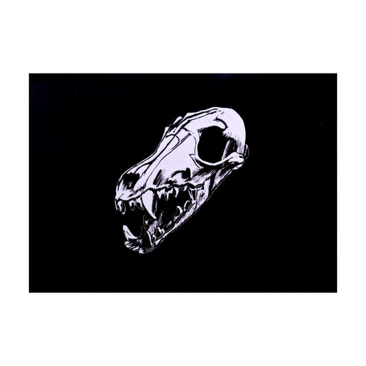 Red Fox Skull Print - 5 x 7