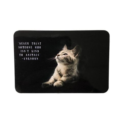 Unknown Quote Cat Magnet