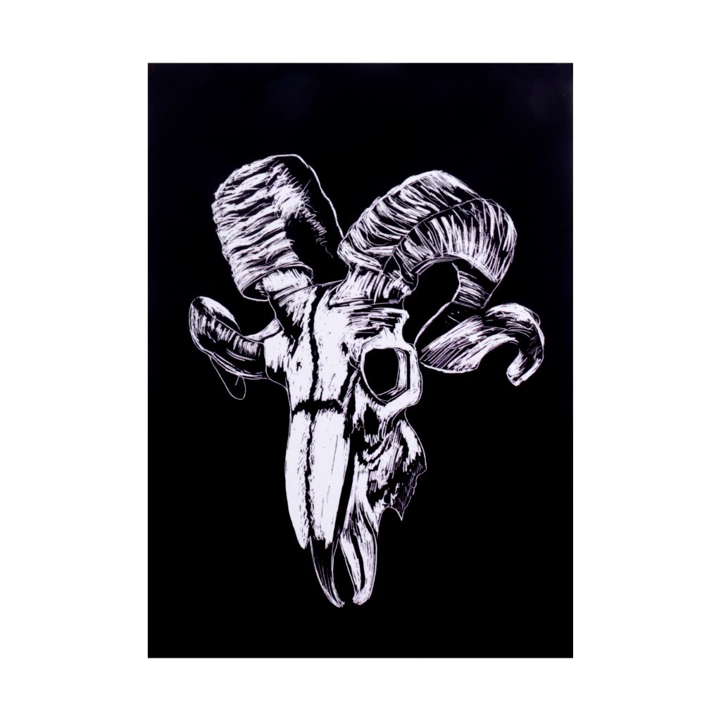 Ram Skull Print - 7 x 5
