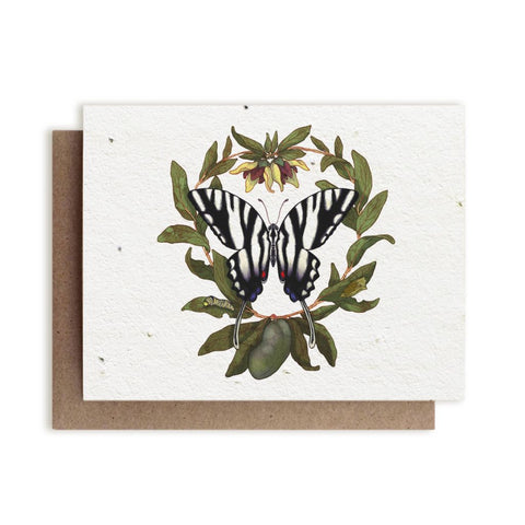 Zebra Swallowtail Butterfly & PawPaw Plantable Herb Card