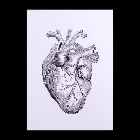 Anatomical Heart Print - 8.5 x 11 white