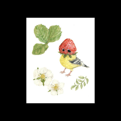 Strawberry Finch Note Card
