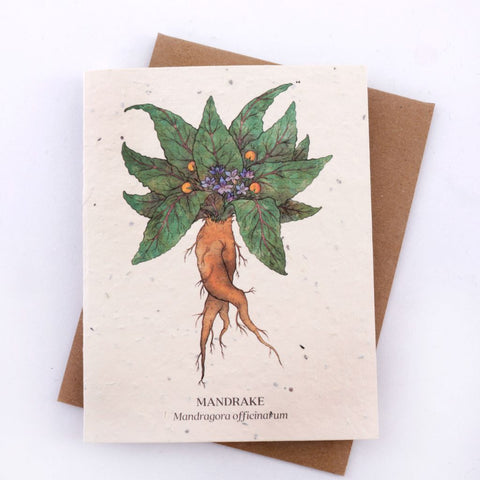 Mandrake - Plantable Wildflower Card