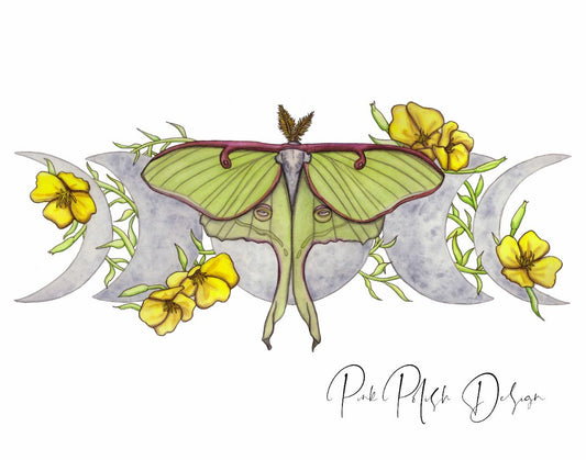 Luna Moth Art Print