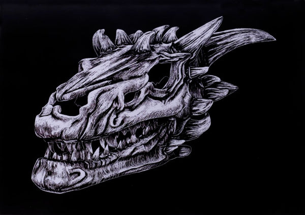 dragons and skulls drawings