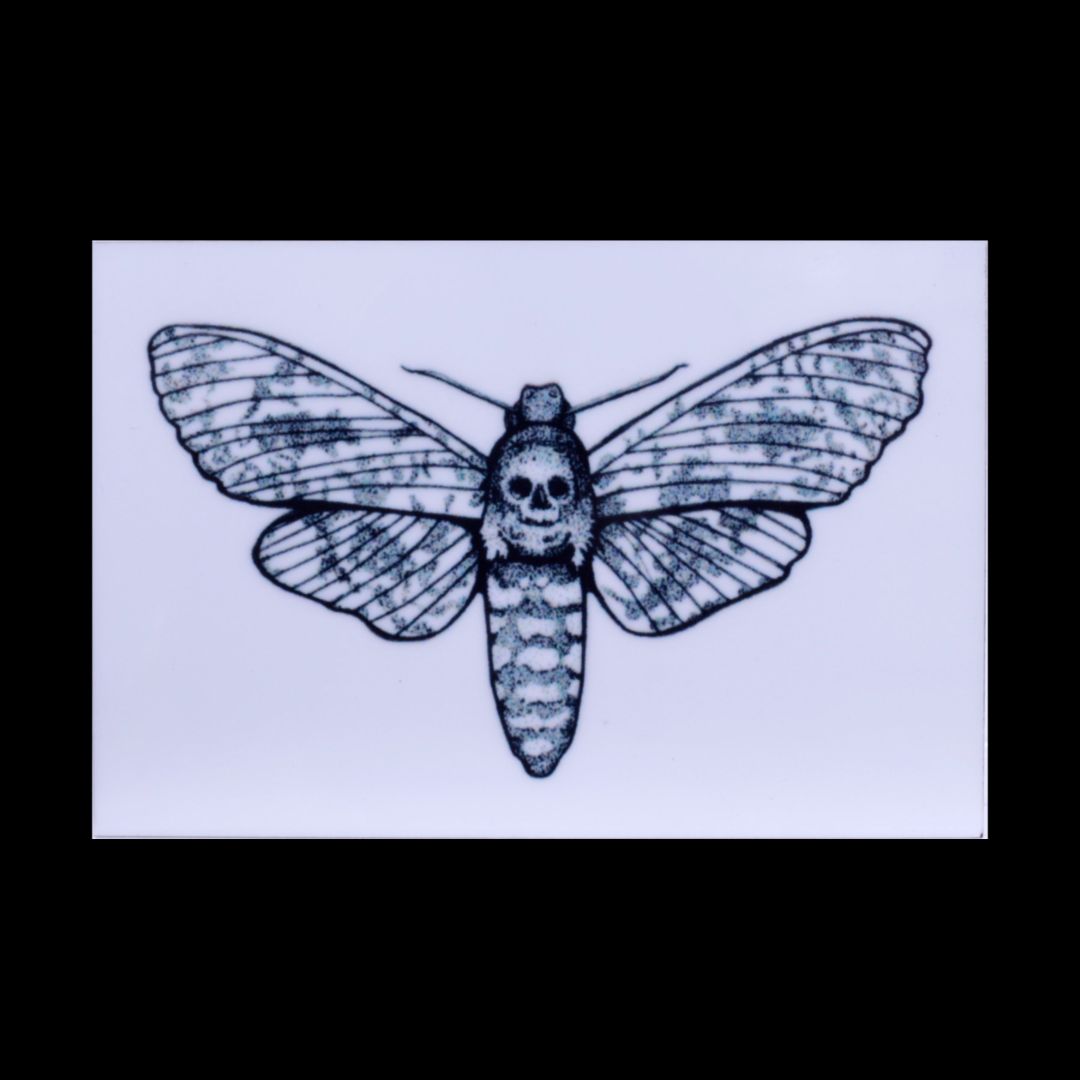 Hawkmoth Magnet