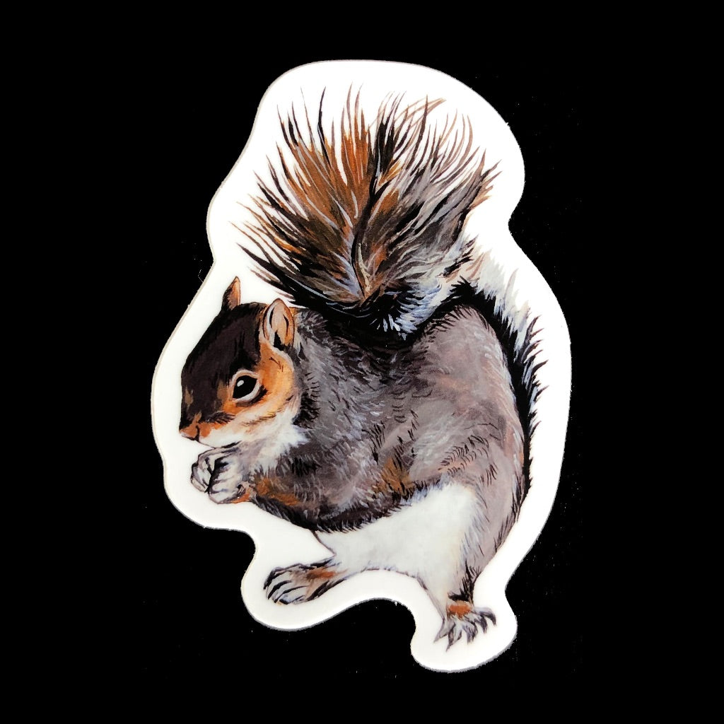 Squirrel Sticker