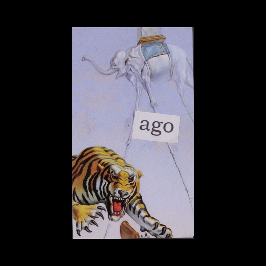 Ago - Collage Magnet with Tiger & Elephant
