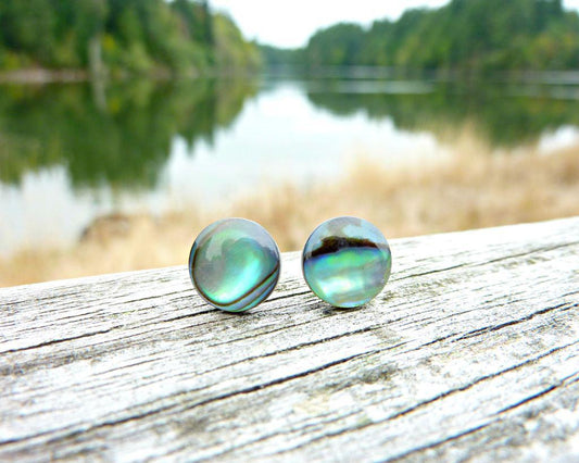 Natural Abalone Shell Stud Earrings