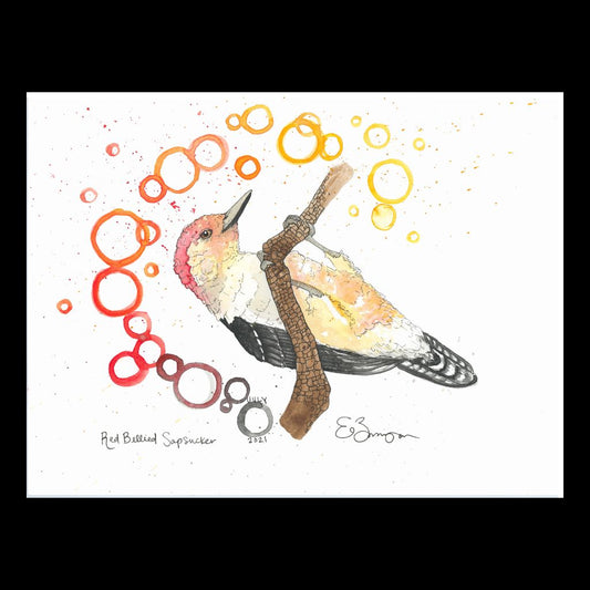 Red Bellied Sapsucker - Fine Art Greeting Card