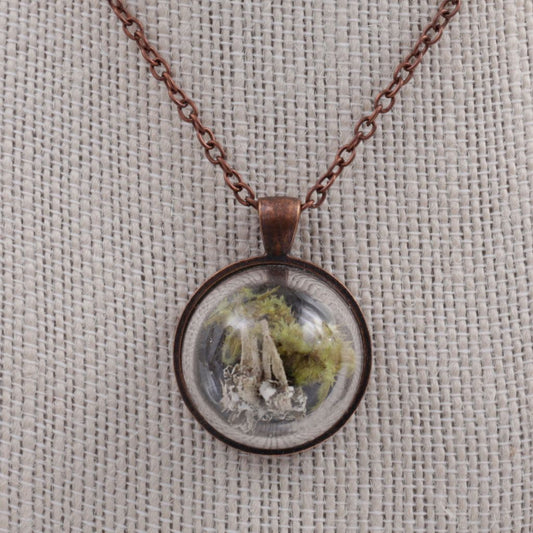 Real Cup Lichen Terrarium Pendant