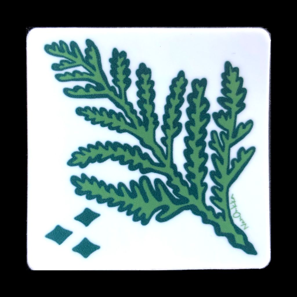 Cedar Sprig Sticker