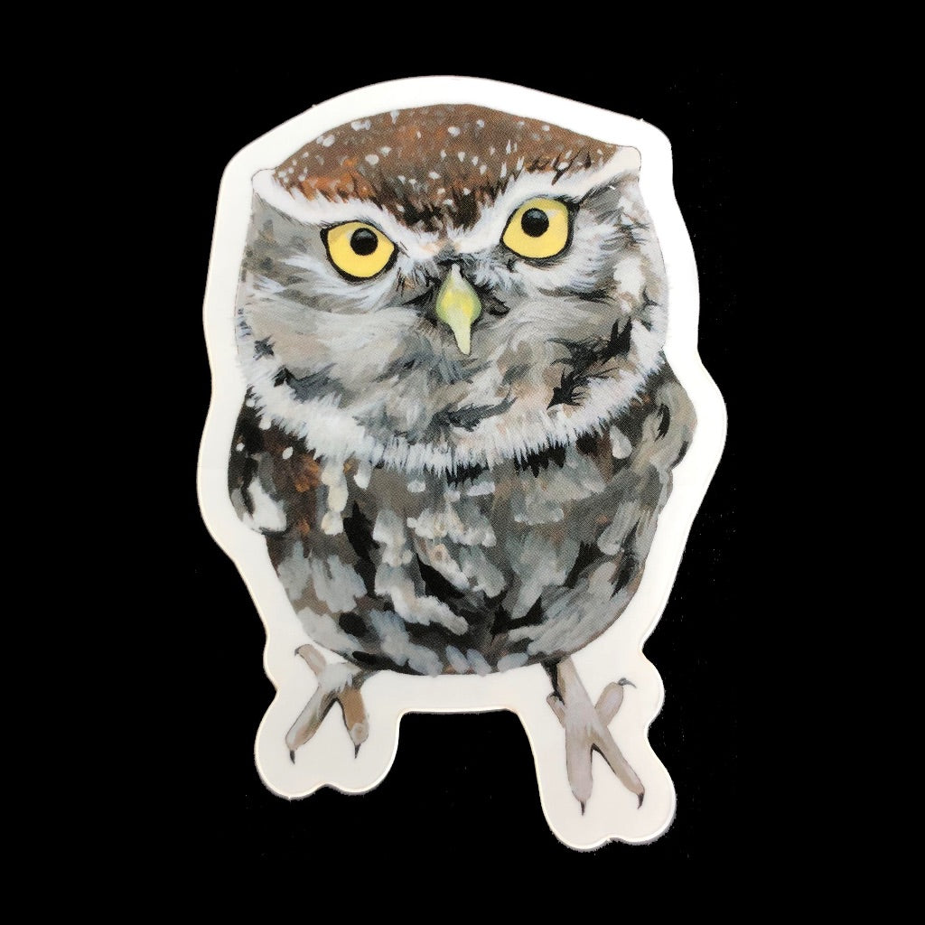 Little Owl Sticker