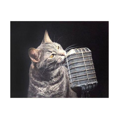 Grey cat with mic card