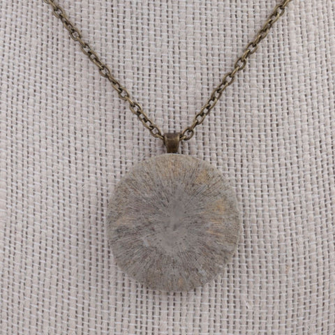 Real Fossil Coral Cyclolite Pendant Necklace