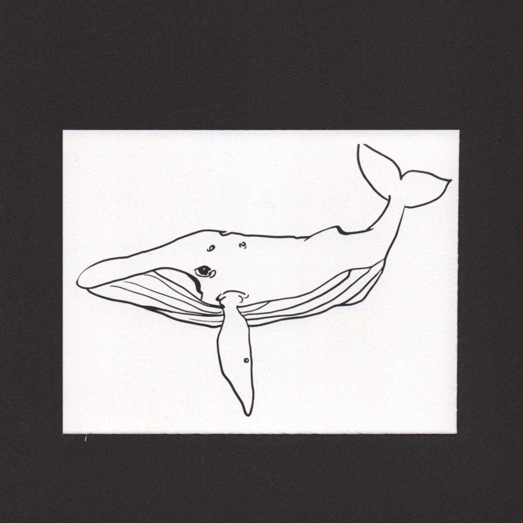 Whale Postcard