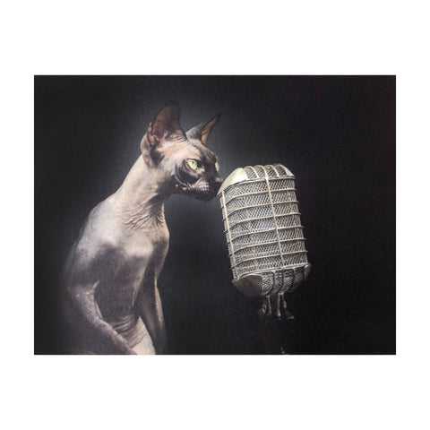 Sphynx Cat with Microphone Card