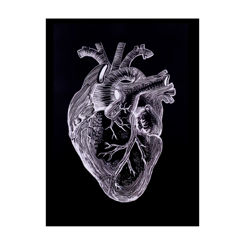 Anatomical Heart Print - 8.5 x 11 black