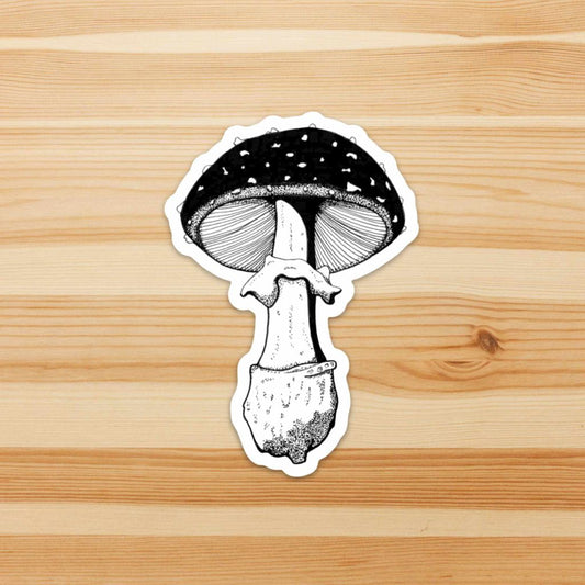 Amanita Pettit Sticker