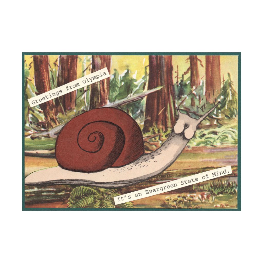 Greetings from Olympia Snail Sticker
