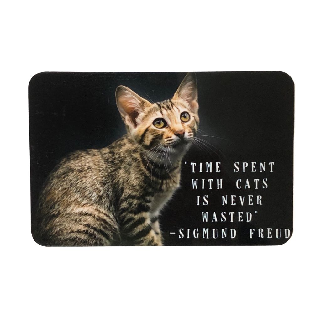 Sigmund Freud Cat Magnet