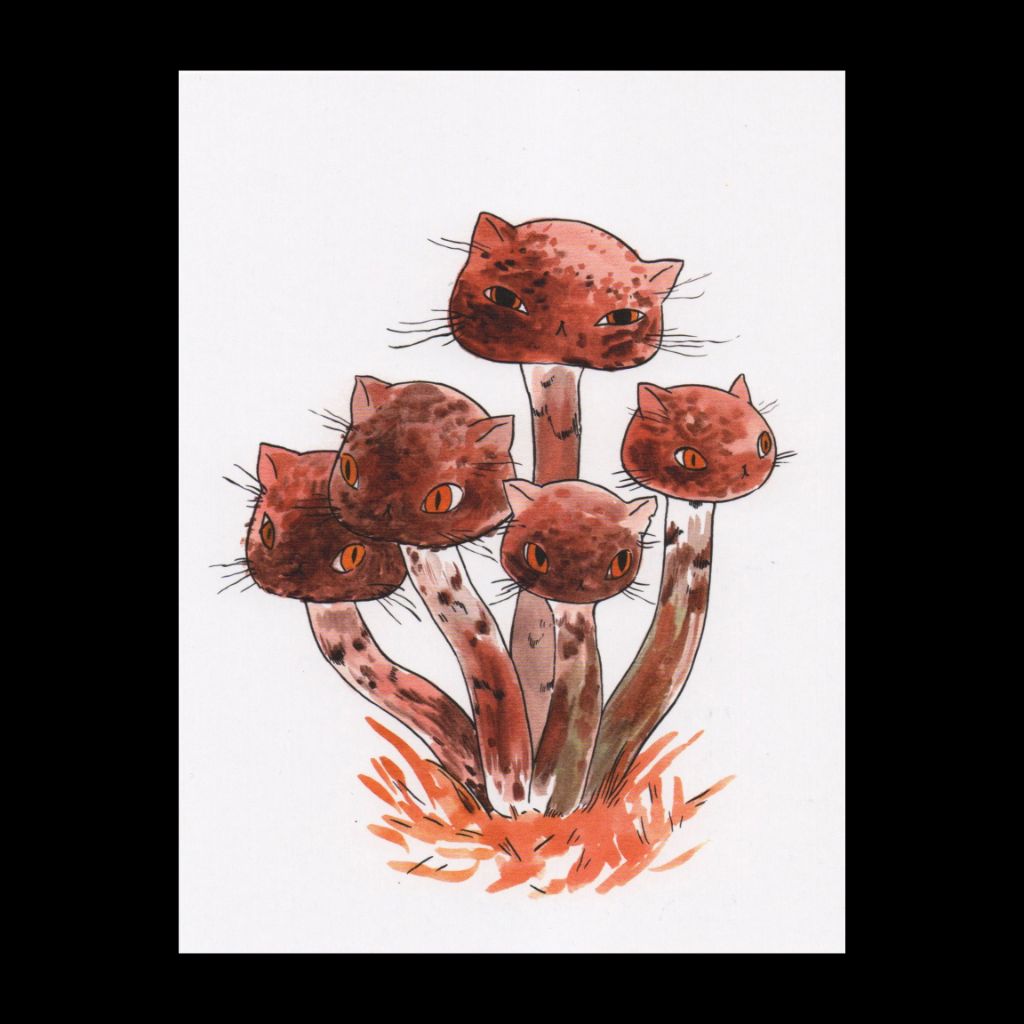 Little Brown Meowshroom Postcard