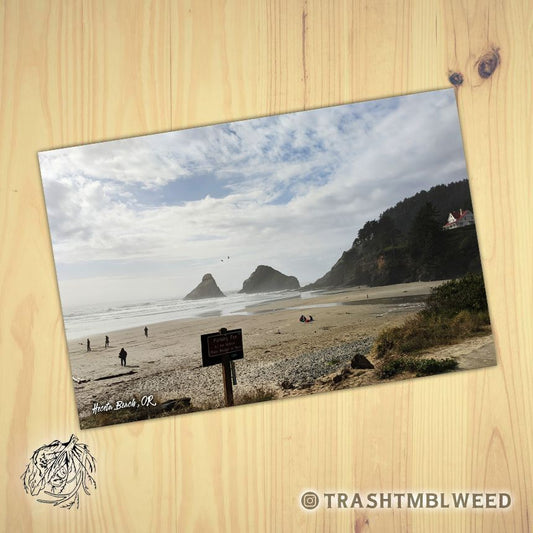 Heceta Beach Oregon Postcard