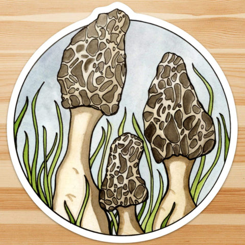 Giant Morel Mushroom Sticker