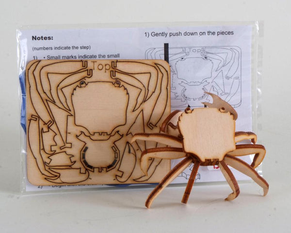 Wooden DIY Crab Ornament Kit