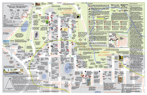 Psychogeographic Walking Map (Wildwood)