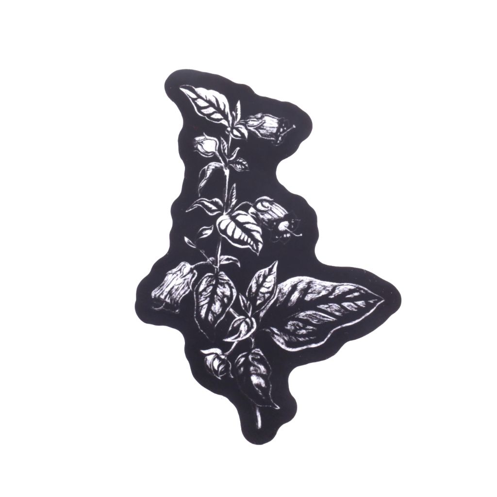 Belladonna Sticker