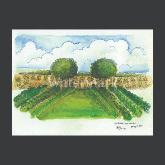 Piedmont Rose Garden Card