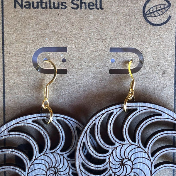 Nautilus Shell Earrings - 10k gold ear wires