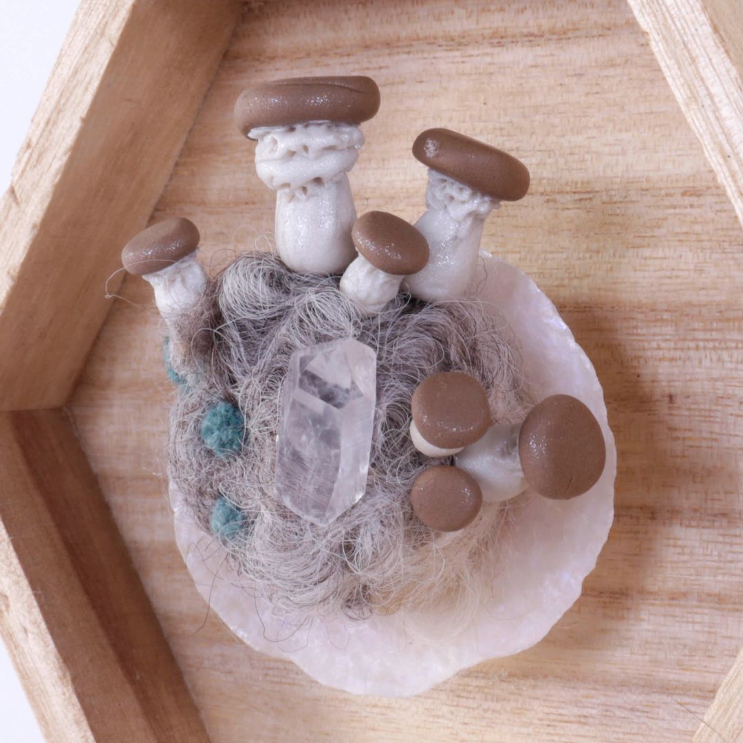 Mushroom Shadow Box