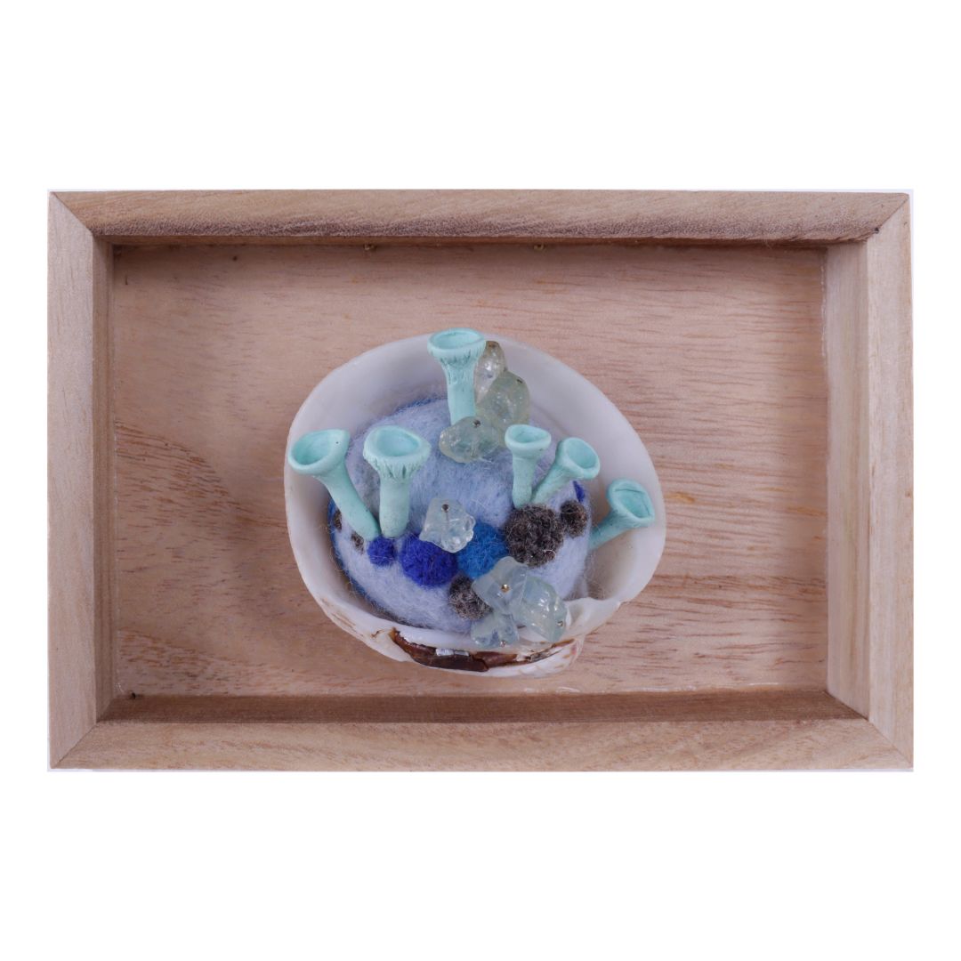 Mushroom Shadow Box