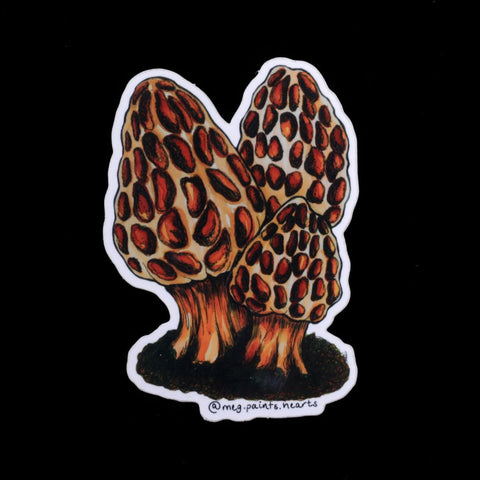 Morels Mushroom Sticker