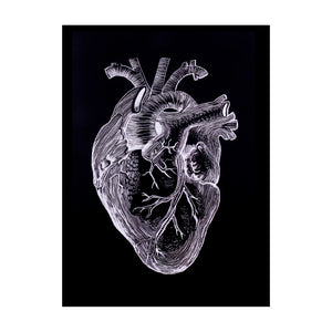 Anatomical Heart Print - 5 x 7 black