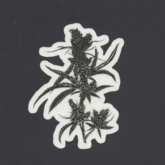 Sativa Sticker