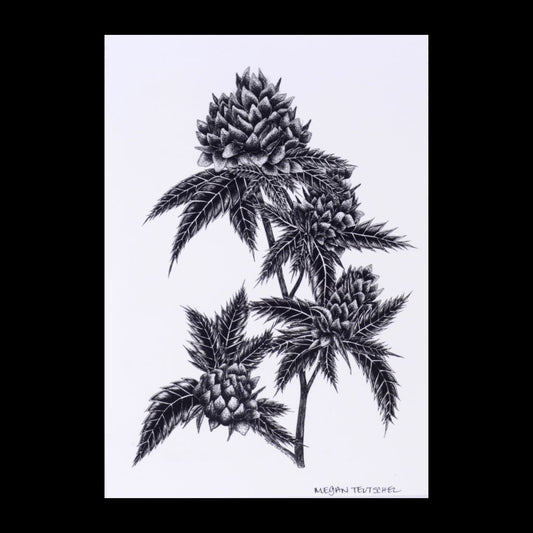 Indica Art Print