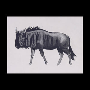 Wildebeest Original Charcoal & Pencil Sketch