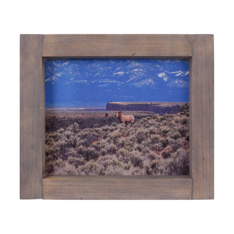 Framed Bighorn Sheep at the Rio Grande Gorge  Photographic Print