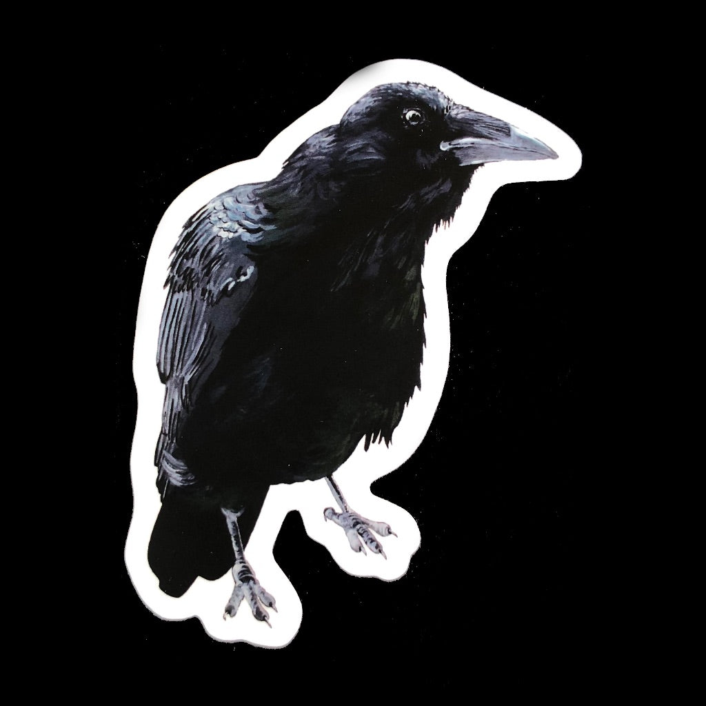 Raven Sticker