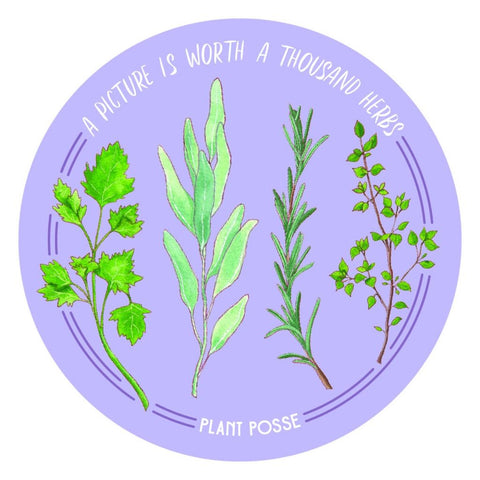 A Picture is Worth a Thousand Herbs Sticker