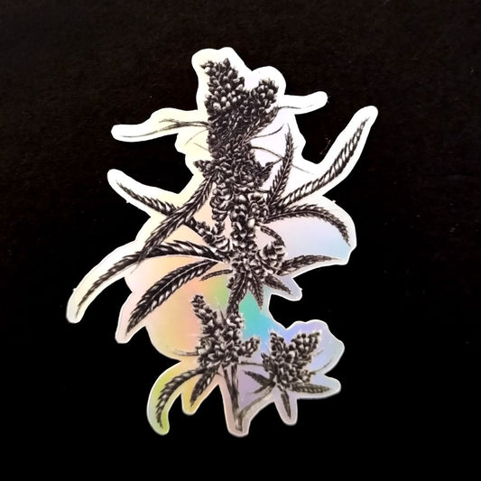 Sativa Holographic Vinyl Sticker