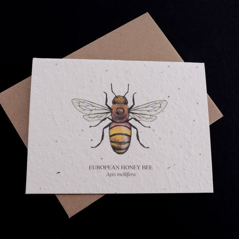 Honeybee Plantable Wildflower Seed Card